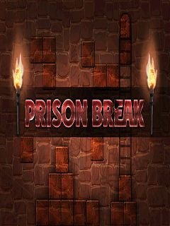game pic for Prison break